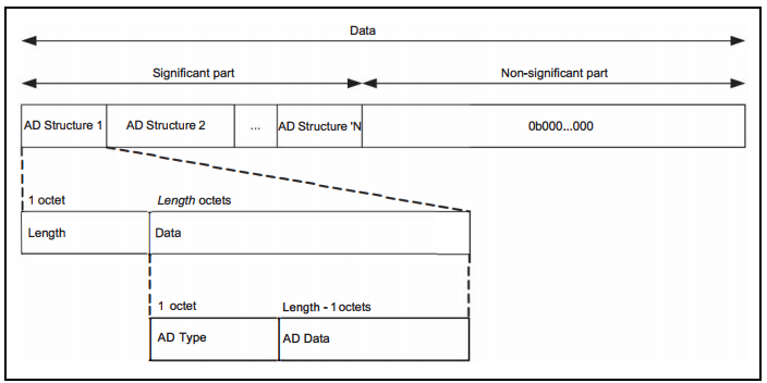 adv_data_format